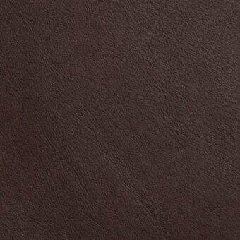 montana-1303